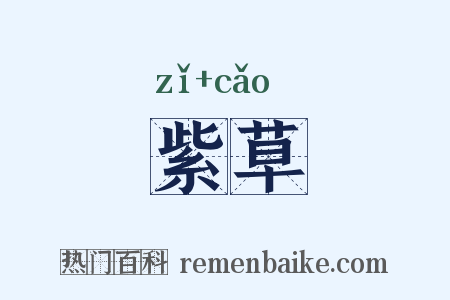 紫草是什么意思的图片